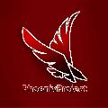увеличить Phoenix Project в Белогорске